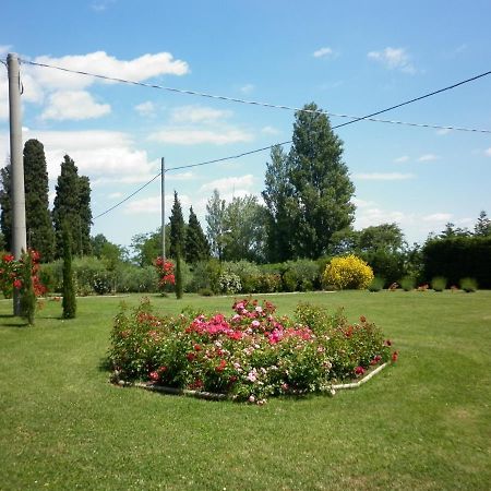 Villa Jolanda Fratte Rosa Exterior photo